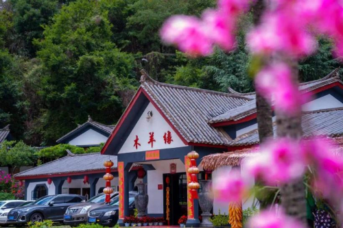 图片1