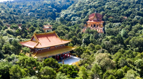 图片3